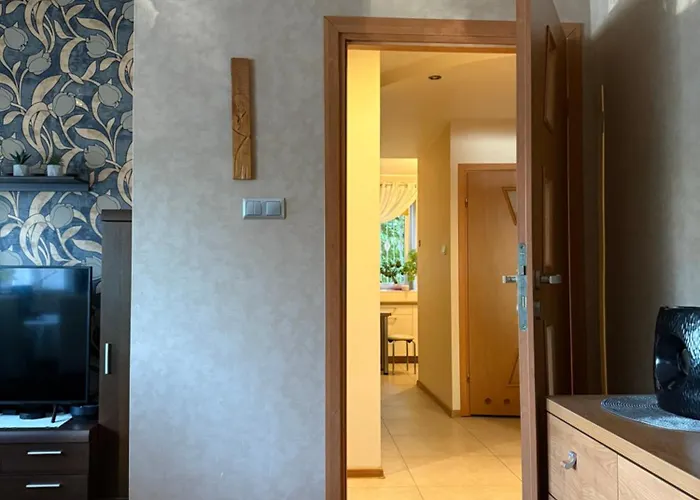 Apartmán Mieszkanie W Samym Centrum *